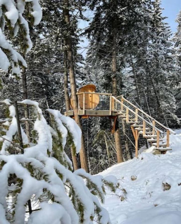 Golden Tiny Homes Экстерьер фото